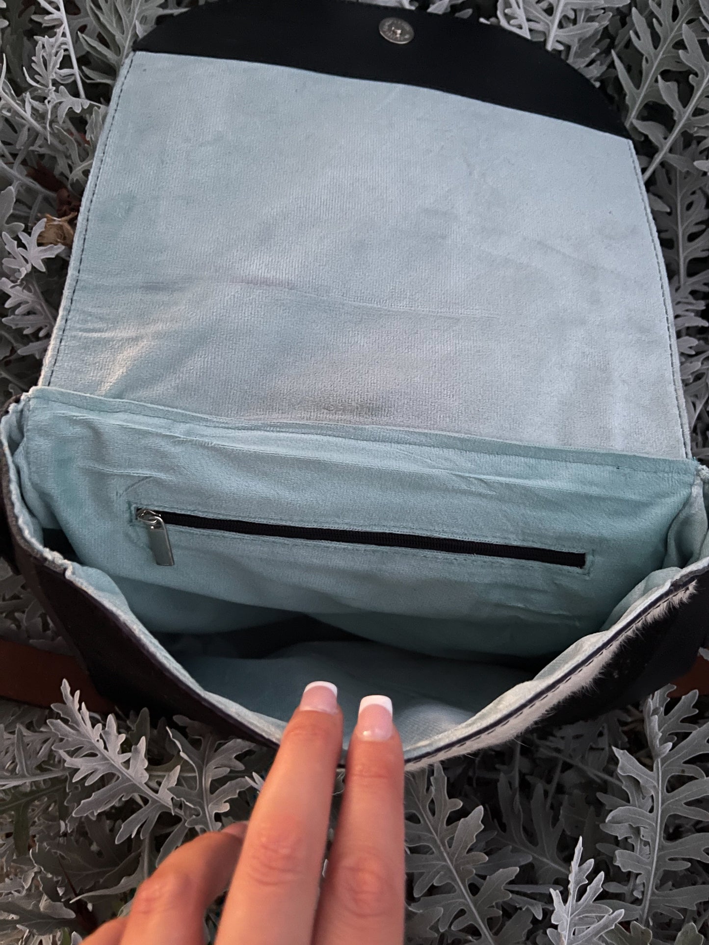 Jessie Jane (No-Fringe)