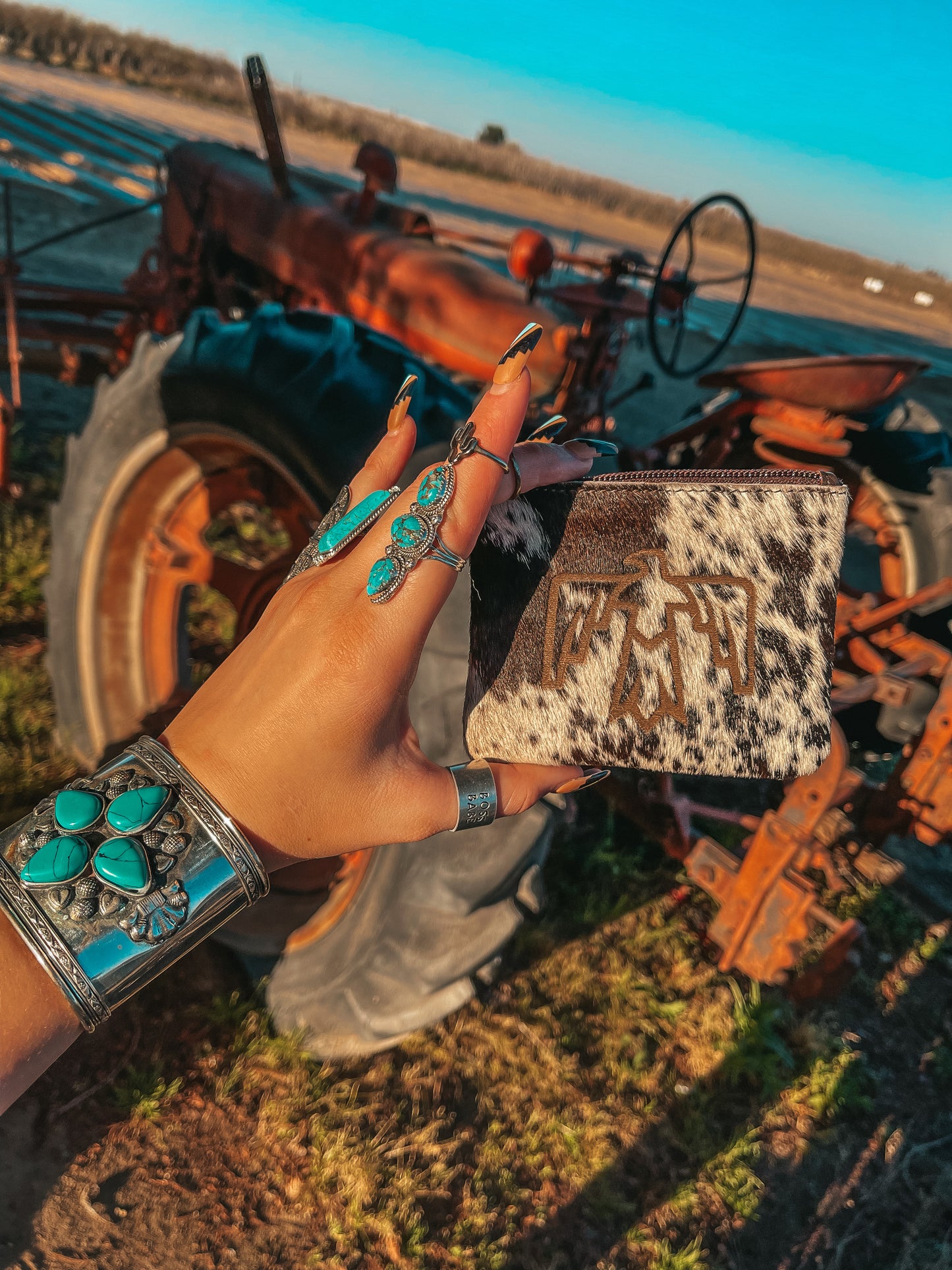 Thunderbird N' Go Pouches